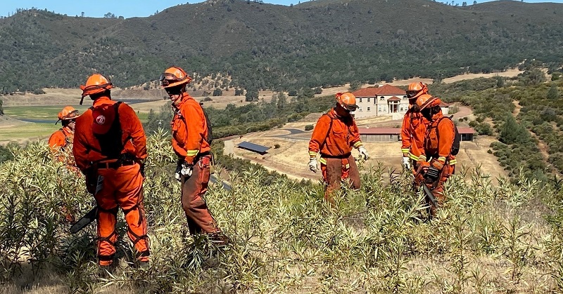 CAL FIRE inmate crews work to clear brush at the Pine Hill Ecological Reserve in El Dorado County.